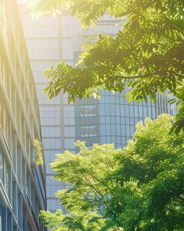 Modern office building with glass wall and green leaves. Panorama